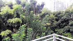 Casa Merah (D16), Apartment #245715151